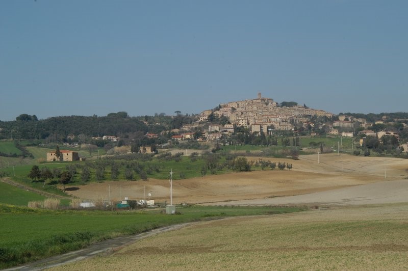 BIBBONA CAMPAGNA
